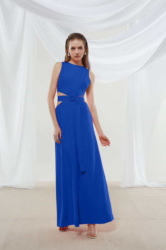 Ivy Blue Dress